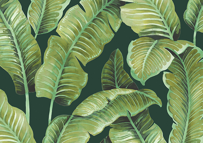 Nicobar, Viridian - Roller Blind - Image 6